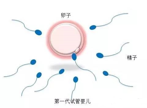 关于代生男孩机构